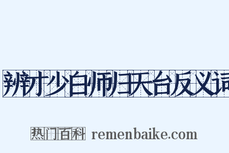 辨才少白师归天台反义词是什么意思的图片